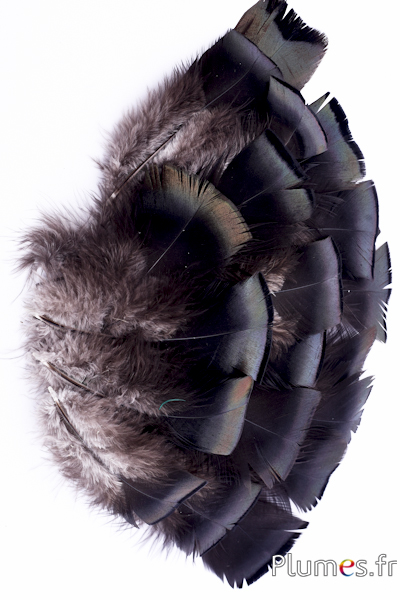Dindon bronze - 5-15 cm - naturel anthracite métallisé